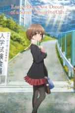 Seishun Buta Yarou wa Odekake Sister no Yume wo Minai (Rascal Does Not Dream of a Sister Venturing Out) (2023)